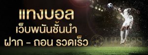 บอลสเต็ป วันนี้
